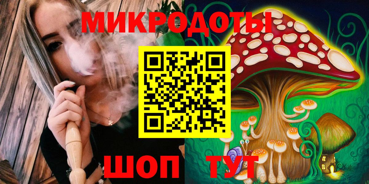 Тулун  Псилоцибиновые грибы прущие грибы  Вход с VPN 